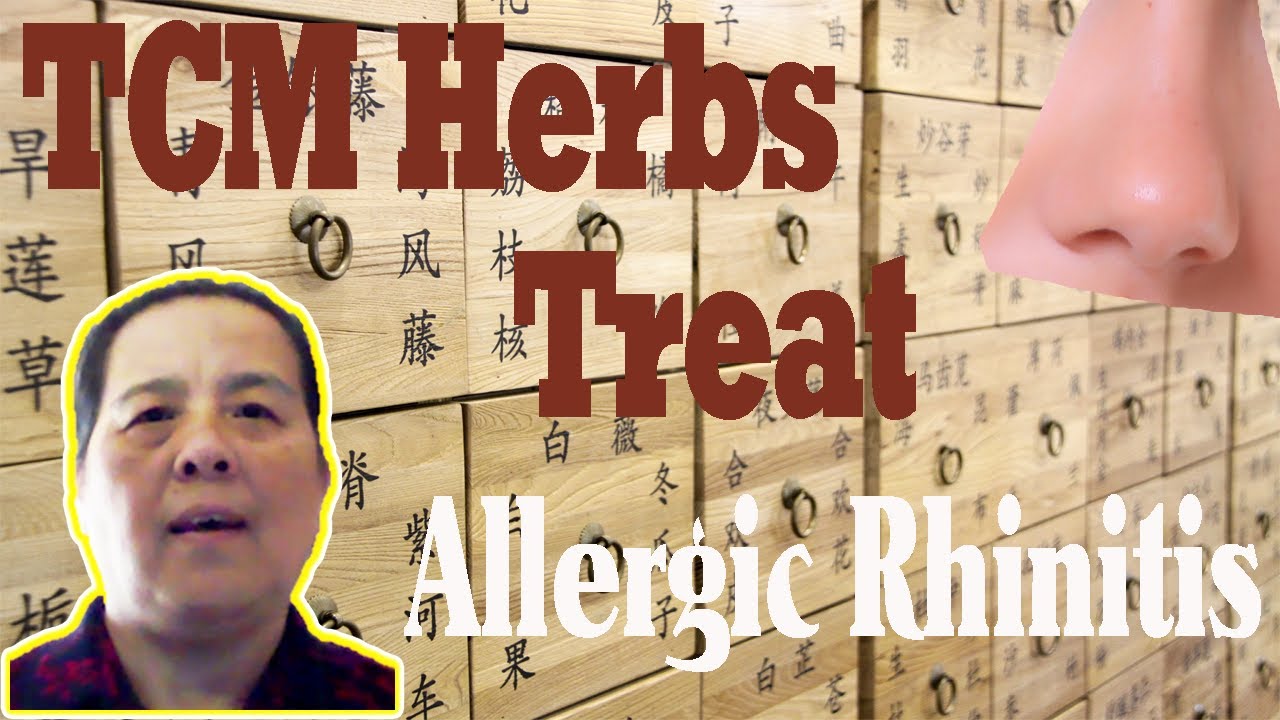 TCM Herbs Treat Allergic Rhinitis YouTube