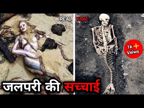 Does Mermaid Really Exist Kya Sach Me Hoti He Jalpari Youtube