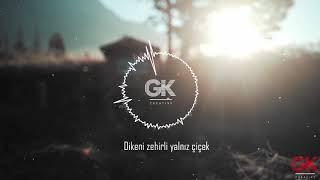 Yalnız Çiçek - Yıldız Tilbe (Kadir ACAR Remix) #yıldıztilbe #yalnızçiçek #kadiracar Resimi