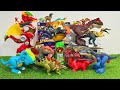 Jurassic World Toys Unboxing Asmr Colorful Dinosaur T-Rex, Triceratops, Brachiosaurus, Amargasaurus