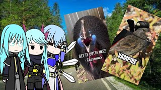 Fandoms React To Australias Wildlife Part 2