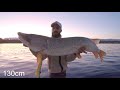 GIANT PIKE FISHING IN SWITZERLAND ! ( English subtitles )