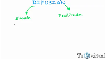 ¿Cuáles son los tres tipos de difusión?