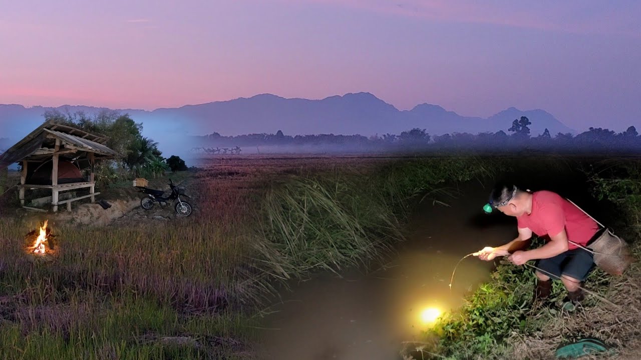 ลุ้นตัวโก่งนอนนาค้างคืนปักเบ็ดหมายใหม่เจอดงปลาใหญ่เข้าให้แล้ว