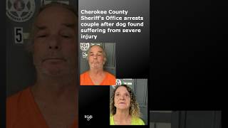 Cherokee County Sheriff's Office arrests couple after dog found with severe injury