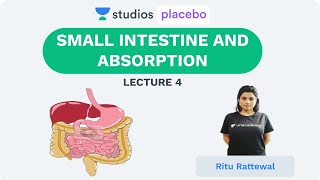 L4: Small Intestine and Absorption | Human Physiology (Pre-medical-NEET/AIIMS) | Ritu Rattewal