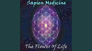 Flower Of Life