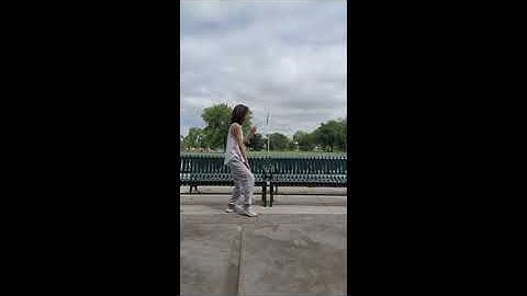 Tai Chi 37 Short Form "Step, Parry, Punch"