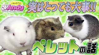 ペレットの話～うさぎ、モルモット、チンチラフード編～