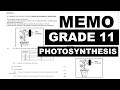 PHOTOSYNTHESIS LIFE SCIENCE GRADE 11 SBA, LIFE SCIENCES JUNE EXAM MEMO PREP THUNDEREDUC