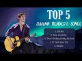 TOP 5 SHAWN MENDES S SONGS PLAYLIST 