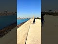 Dwarka Gujarat Sudama Setu #perfectpassenger #shorts