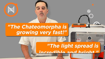 GRO - Macroalgae Refugium Light