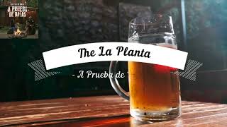 The La Planta A Prueba De Balas Karaoke