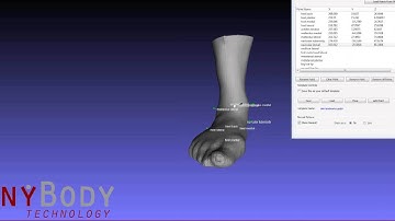 Scaling of the AnyBody GlasgowMaastricht Foot Model in MeshLab