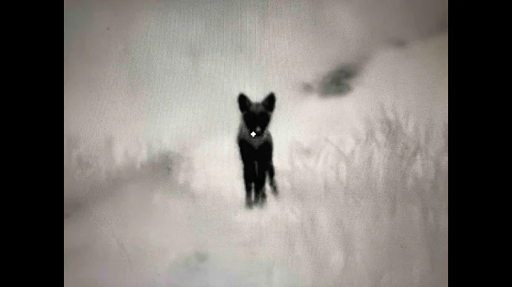 Night Crew S2E4 "Bridging the Gap" Thermal has never been this easy