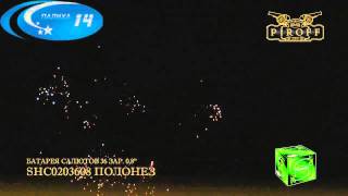 SHC0203608 ПОЛОНЕЗ1