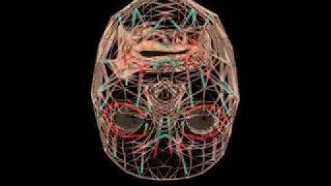 Heads Up! Biomechanical Modeling and Neuromuscular Control o