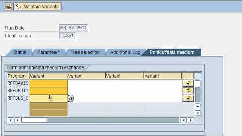 SAP FICO VIDEO TRAINING TUTORIALS 0040 AUTOMATIC PAYMENT RUN ( APP ) ECC6 - BAYISETTI