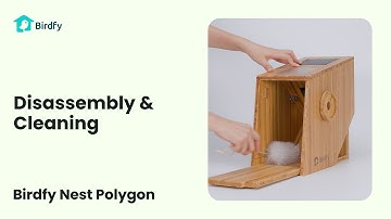 Cleaning - Birdfy Nest Polygon Tutorial