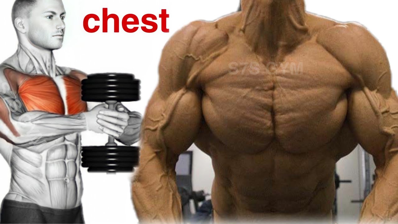 Build chest muscles with these exercises 