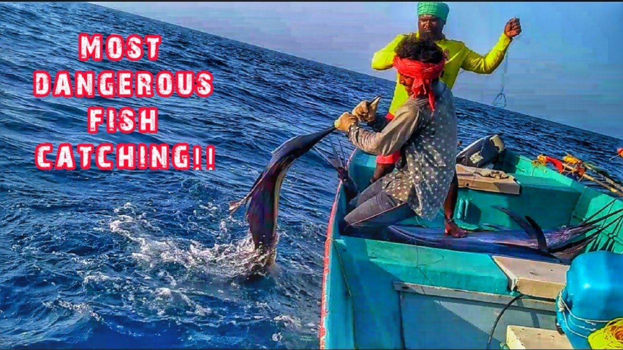 Fish Getting Hunted Dangerous fish catching in sea | sword fish hunting | dangerous sea ...