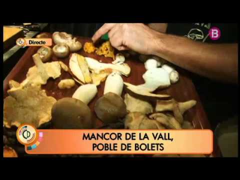 Vídeo: Com cuinar el bolet Valui