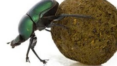 Graham Harman - Object Oriented Ontology