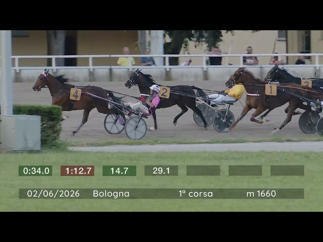 2026 06 02 | Corsa 1 | Metri 1660 | Premio Ail Bologna Odv - Trofeo Gentlemen For Life