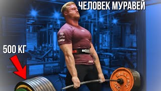 видео: ЧЕЛОВЕК МУРАВЕЙ КОЛТОН ЭНГЕЛЬБРЕХТ САМЫЙ СИЛЬНЫЙ ПАУЭРЛИФТЕР картинка: ЧЕЛОВЕК МУРАВЕЙ КОЛТОН ЭНГЕЛЬБРЕХТ САМЫЙ СИЛЬНЫЙ ПАУЭРЛИФТЕР