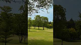 Before After Colour Wheel Color Grade Video Transition inspired by Benjvillena | Tutorial