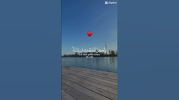 اللهم اجعل القران الكريم شفيعاً له يوم القيامة ❤️