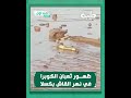 ظهــور ثعبان الكوبرا في نهر القاش بكسلا 