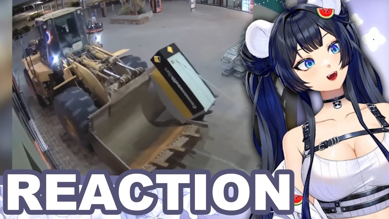 EIN BAGGER-DIEB! | Suki reagiert auf Daily Dose of Internet