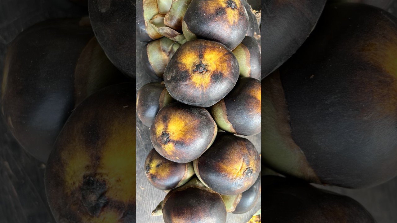 Tadgola | Ice Apple | Fruit | 