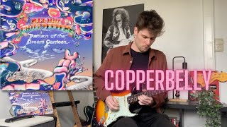 Copperbelly - Red Hot Chili Peppers (Guitar Cover)