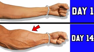 6 Best Exercises For Bigger Forearms Home Workout
