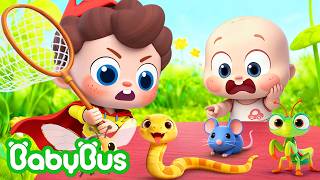 Pegando os Bichinhos, Bebê | Música Infantil | Sim! Neo | BabyBus Português