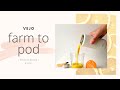 VEJO - Unboxing & Review: The Perfect Eco-Friendly Travel Blender