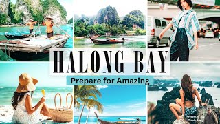 Discovering the Enchantment of Ha Long Bay Top 10 Must See Attractions