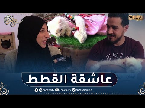 إيمان سيدة تحول بيتها إلى مأوى للقطط 