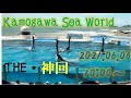 鴨川シーワールドシャチパフォーマンス【2021年6月5日】10：00