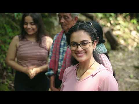 Film 1st Place, Stevenson Diengdoh: Roots to Bridges