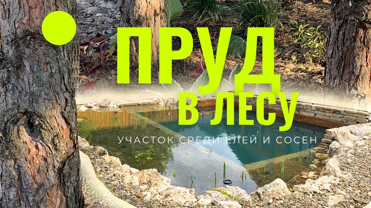 Пруд в Лесу. Строим водоем на участке в лесной местности