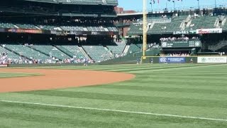 I AM AT SAFECO FIELD!!!! 🐶🐶PUG IN REAL LIFE!