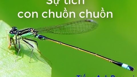 Kể chuyện bé nghe l Cổ tích Việt Nam l Sự tích con chuồn chuồn
