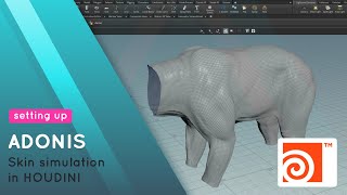 Skin Simulation in Houdini with Adonis AdnSkin