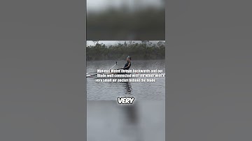 Rowing Technique: Mastering Blade Placement for Maximum Power