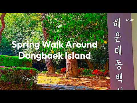 Spring Nature Walk at Dongbaek Island (동백섬) | Busan, South Korea