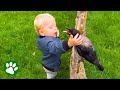 Toddler and crow are best friends